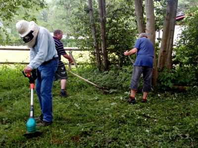 Mitglieder der Projektgruppe beim Mähen der Wiese